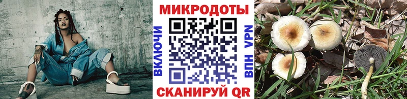 ОМГ ОМГ зеркало Гусиноозёрск Галлюциногенные грибы MAGIC MUSHROOMS