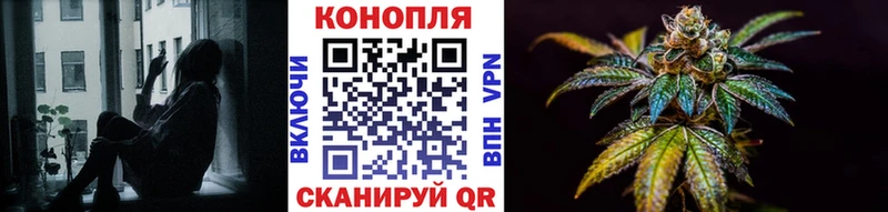 купить наркотик  ОМГ ОМГ вход  Бошки Шишки сатива  Гусиноозёрск 